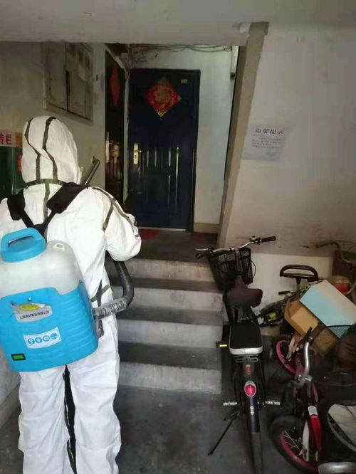深圳室內消毒滅菌服務 專業守護家居、校園與商業空間的健康環境